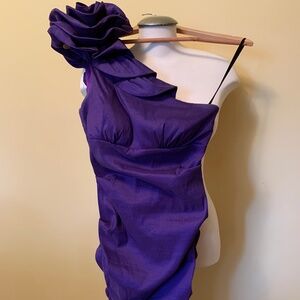 Gorgeous Purple Cocktail Dress (size 6)